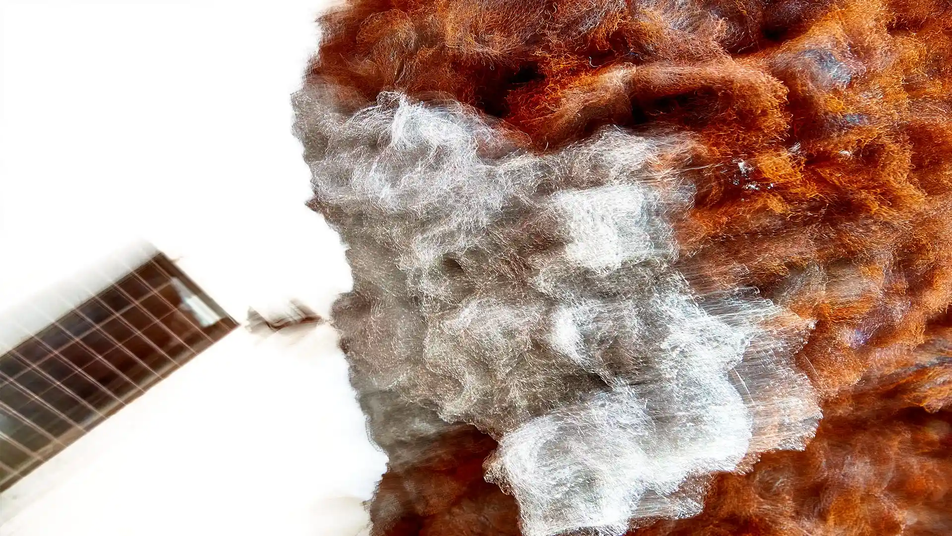 Serafina, Liquid Image, eine Video-Klang-Installation, Lissabon, Portugal, Bild 2