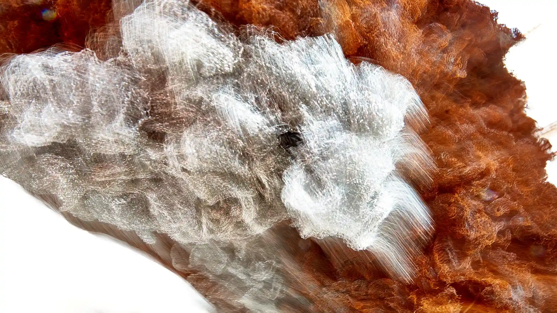 Serafina, Liquid Image, eine Video-Klang-Installation, Lissabon, Portugal, Bild 3