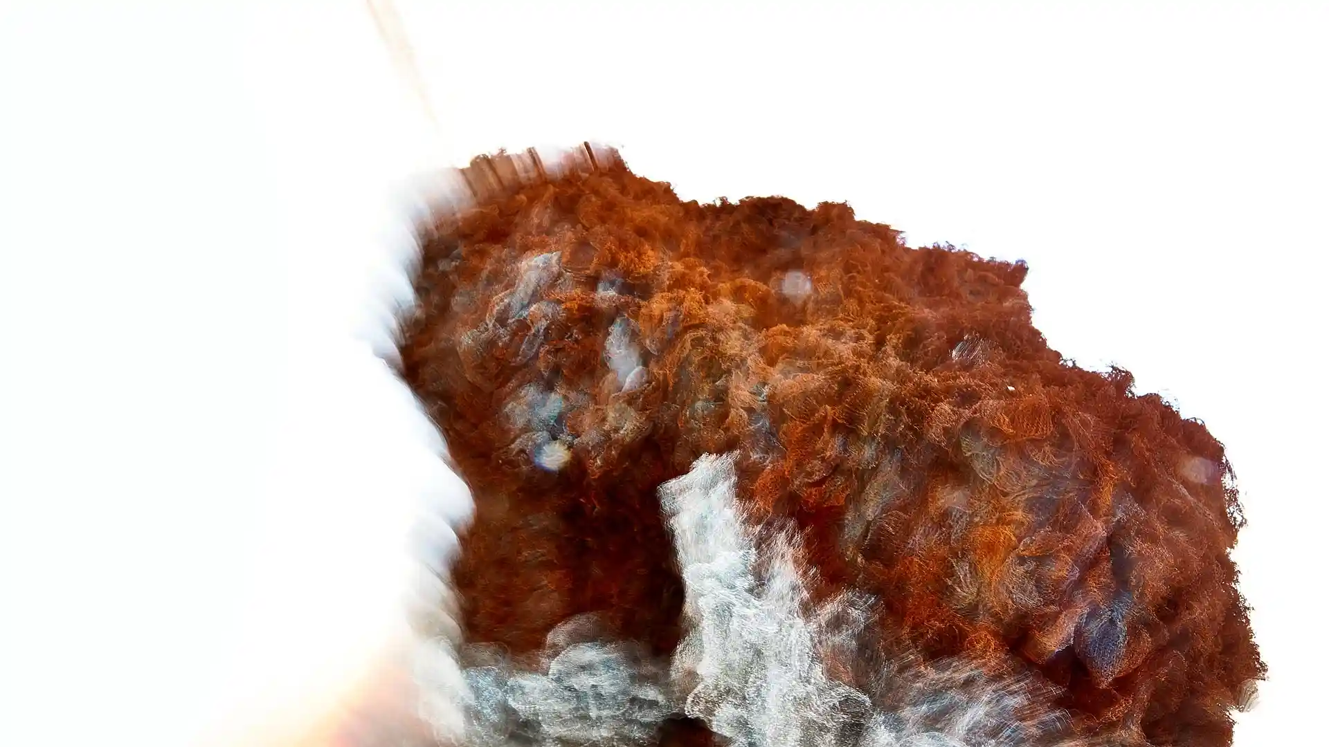 Serafina, Liquid Image, eine Video-Klang-Installation, Lissabon, Portugal, Bild 5