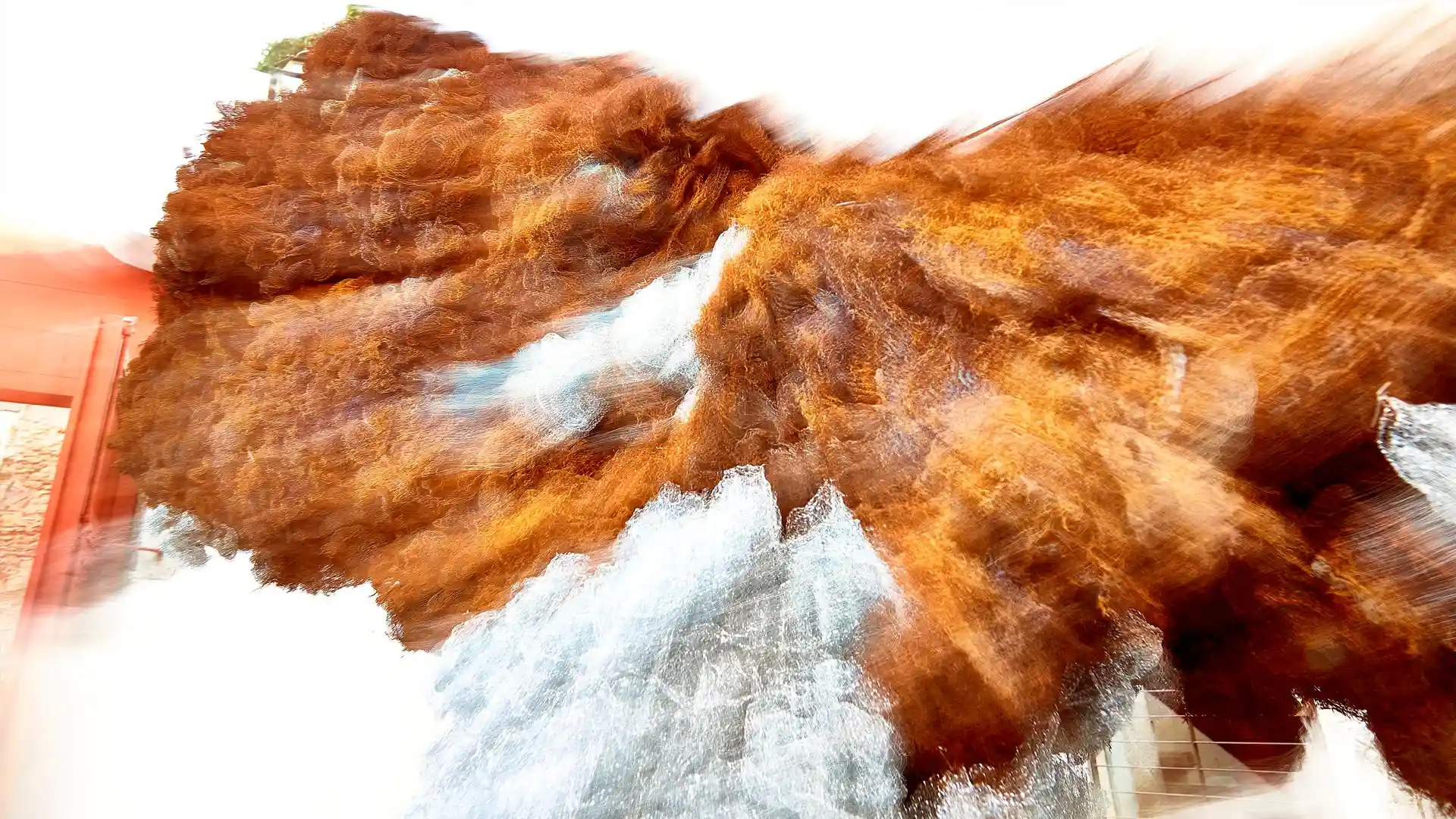 Serafina, Liquid Image, eine Video-Klang-Installation, Lissabon, Portugal, Bild 14