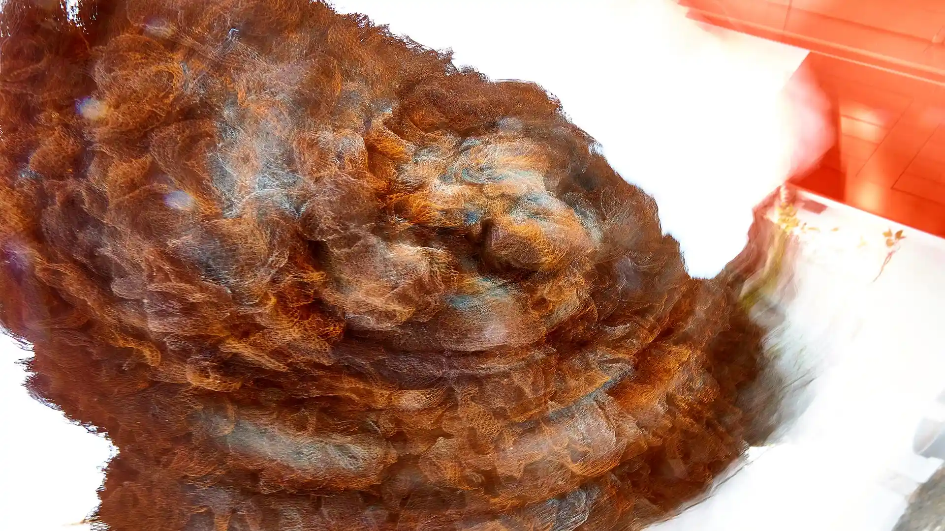 Serafina, Liquid Image, eine Video-Klang-Installation, Lissabon, Portugal, Bild 19