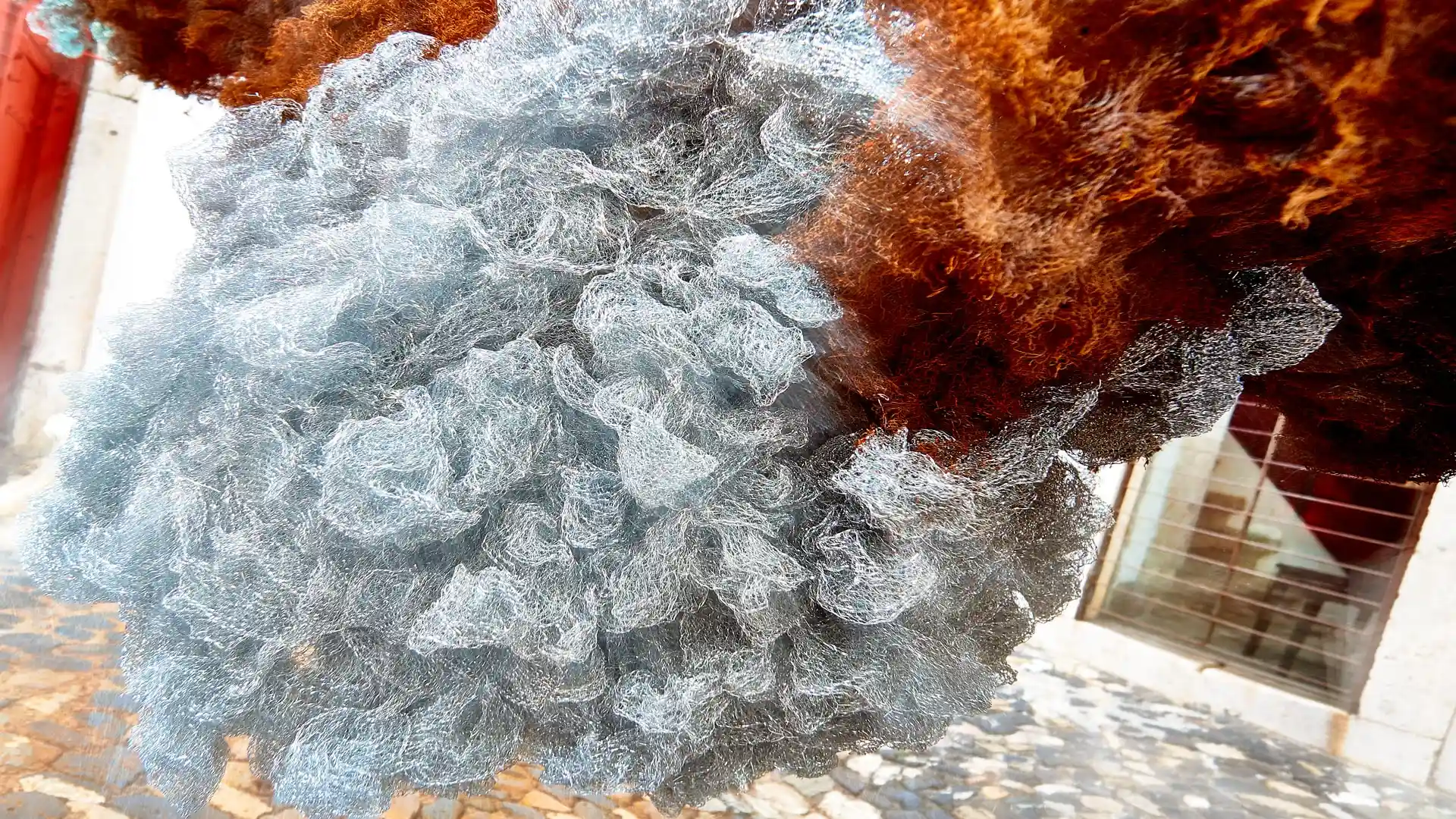 Serafina, Liquid Image, eine Video-Klang-Installation, Lissabon, Portugal, Bild 20