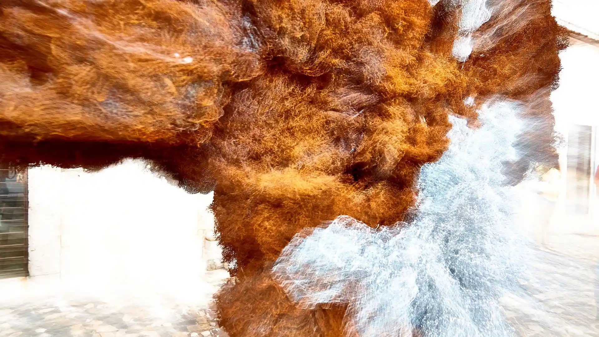 Serafina, Liquid Image, eine Video-Klang-Installation, Lissabon, Portugal, Bild 26