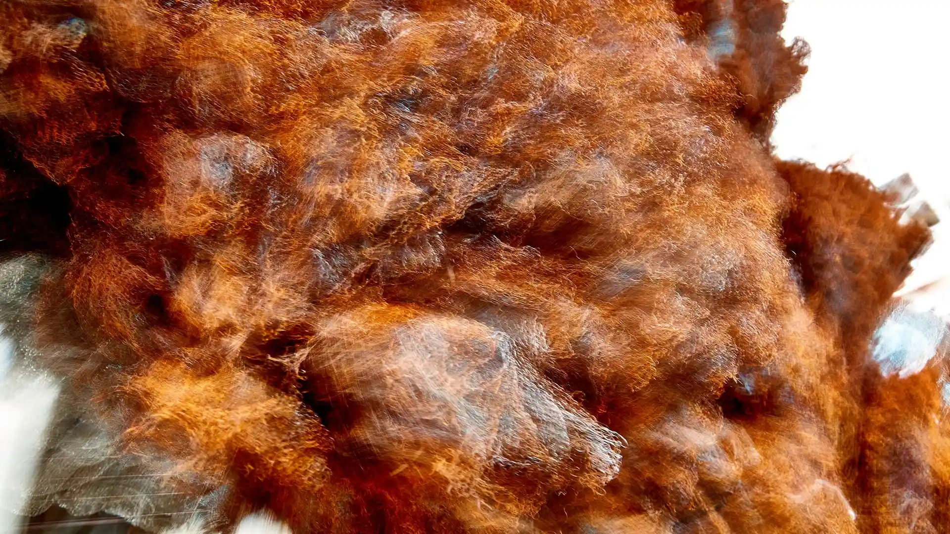 Serafina, Liquid Image, eine Video-Klang-Installation, Lissabon, Portugal, Bild 27