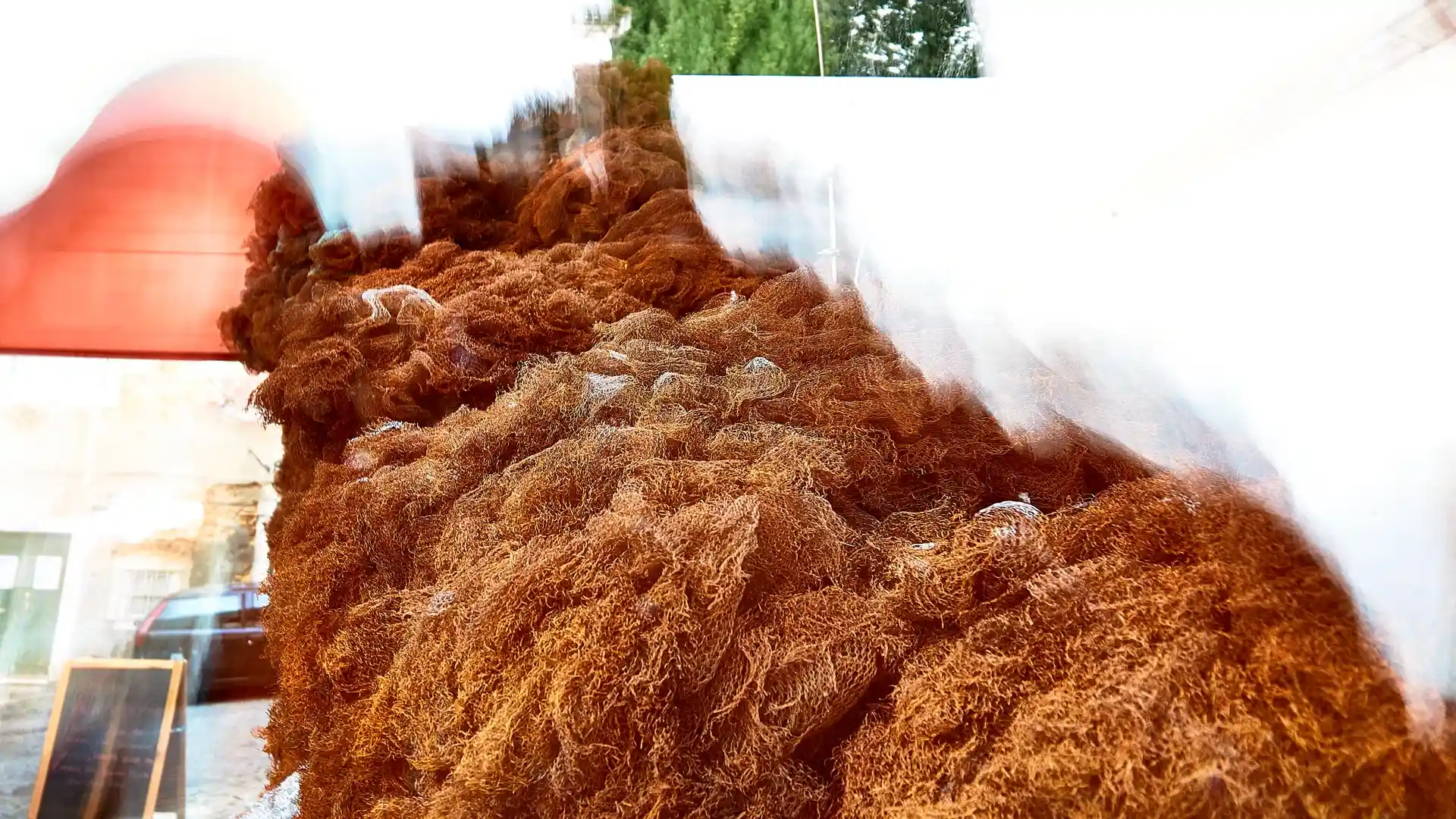 Serafina, Liquid Image, eine Video-Klang-Installation, Lissabon, Portugal, Bild 28