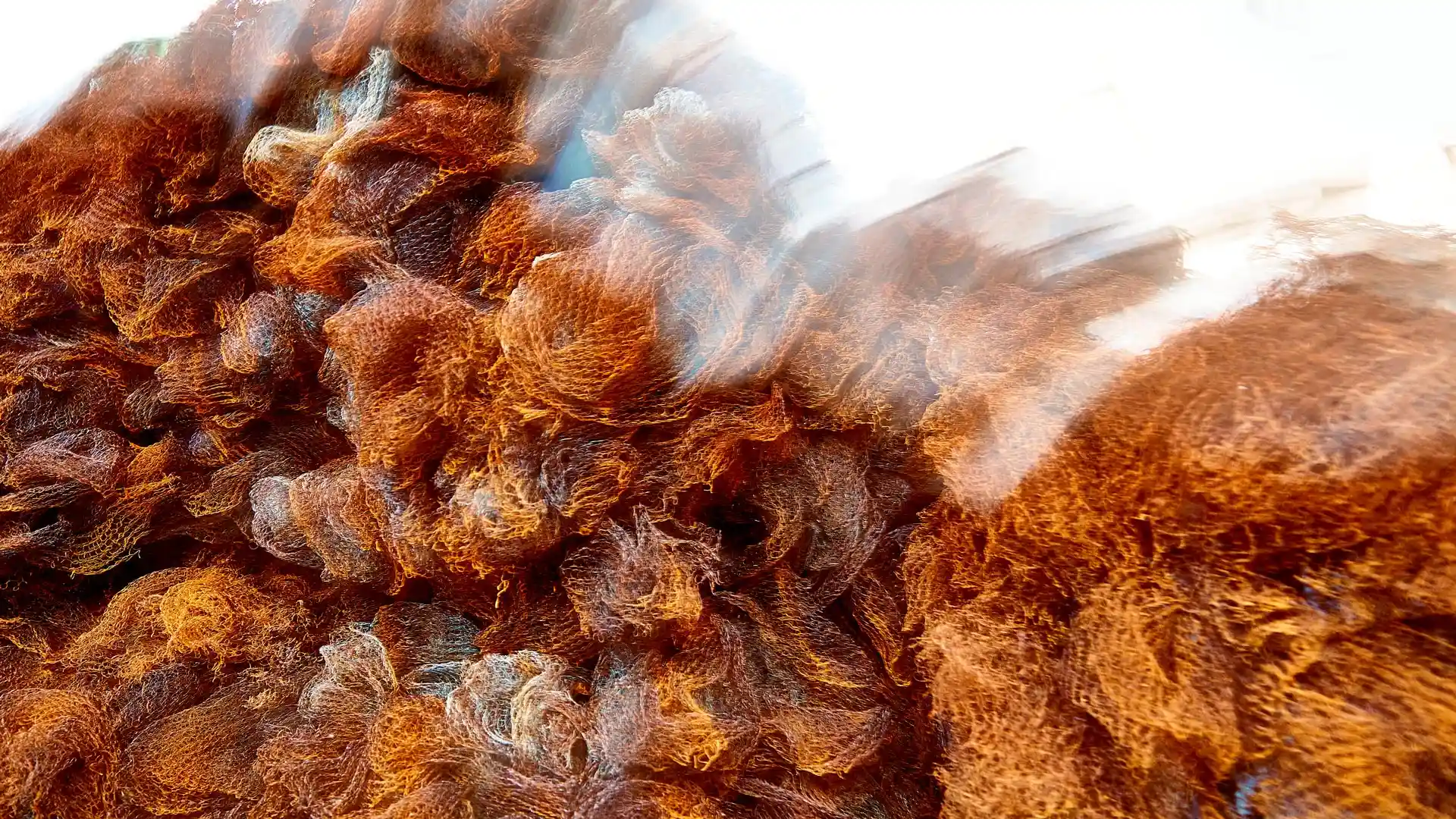 Serafina, Liquid Image, eine Video-Klang-Installation, Lissabon, Portugal, Bild 30