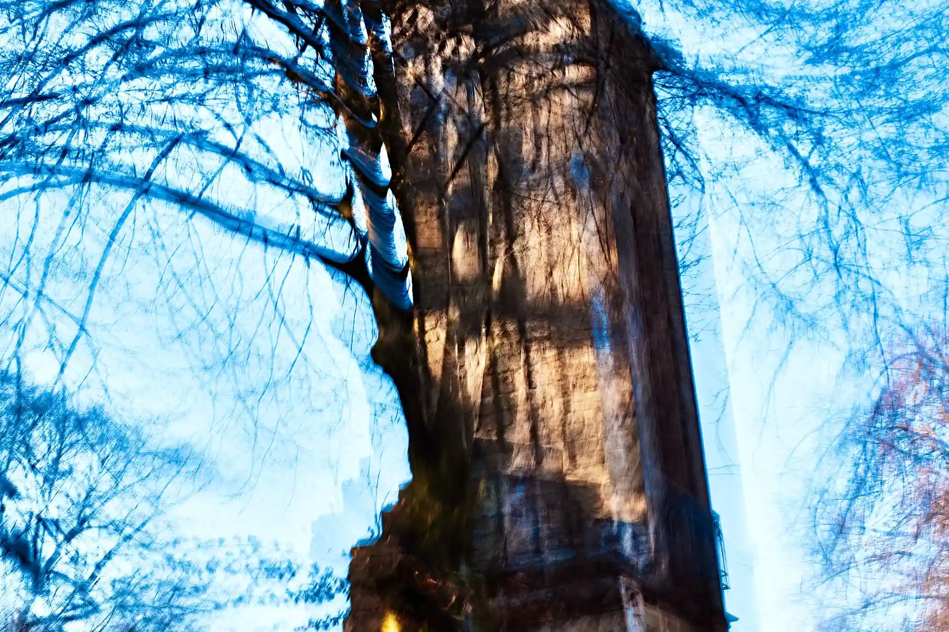 Tempelherrenhaus, Liquid Image zur Video Klanginstallation für Genius Loci, Weimar, Bild 10