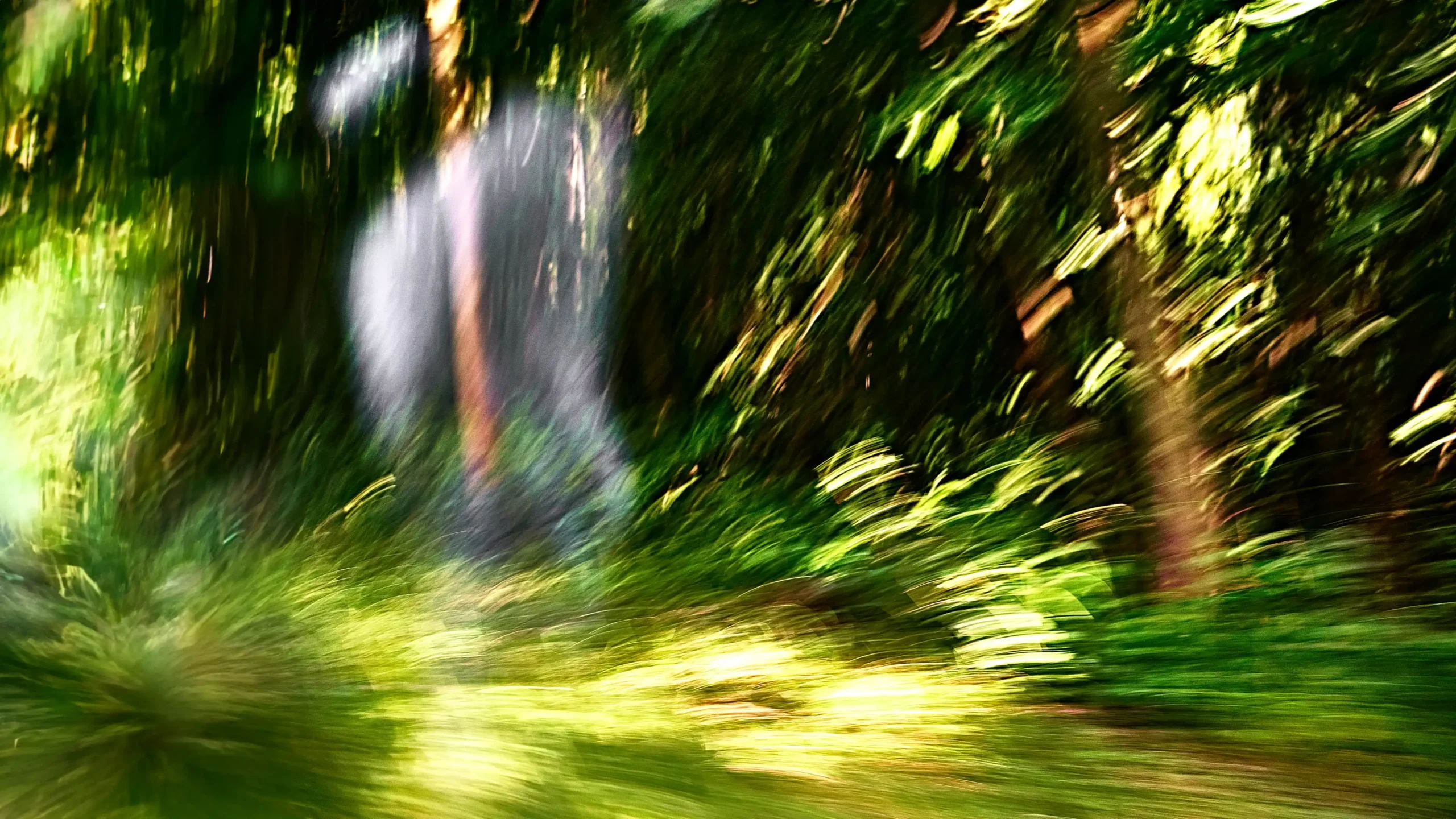 Area Composer's audiovisual artwork EMPATHY for Buchenwald