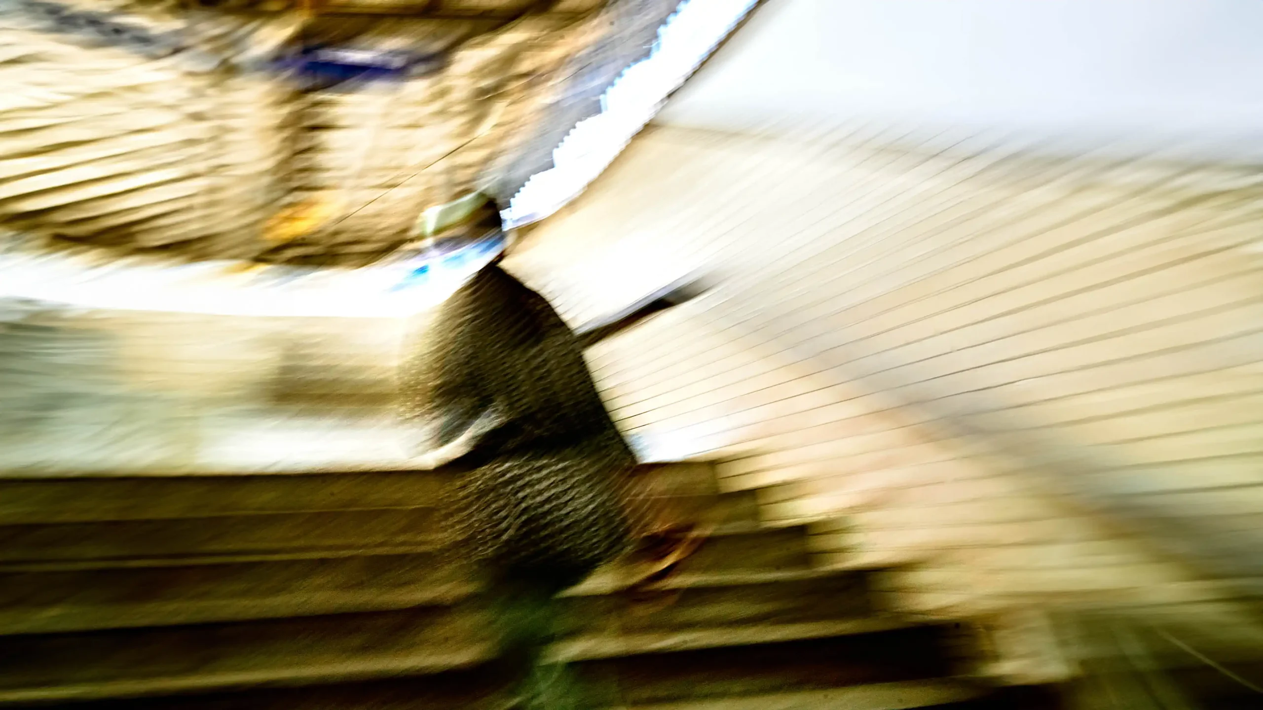 Area Composer's audiovisual artwork EMPATHY for Buchenwald