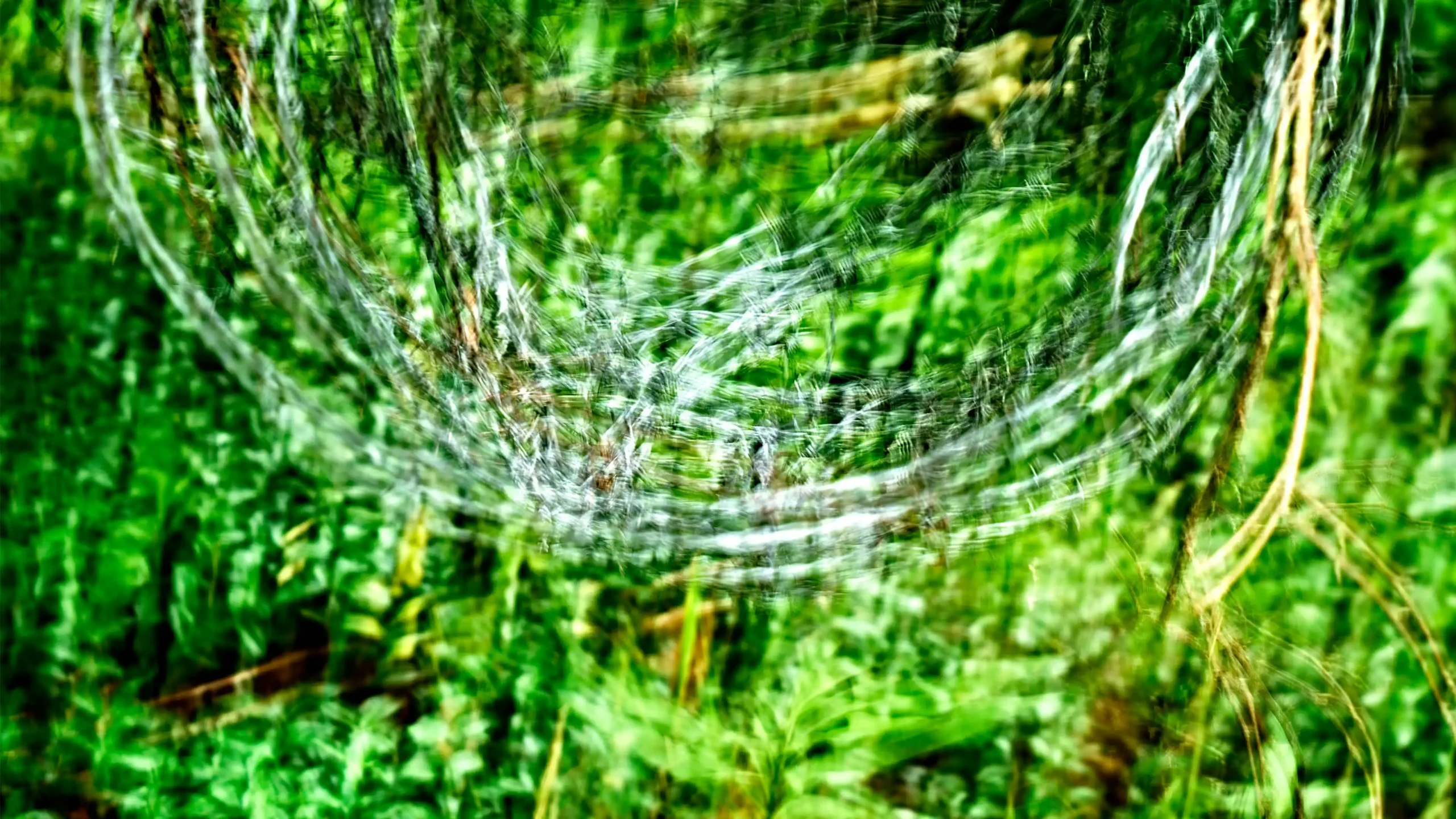 Area Composer's audiovisual artwork EMPATHY for Buchenwald