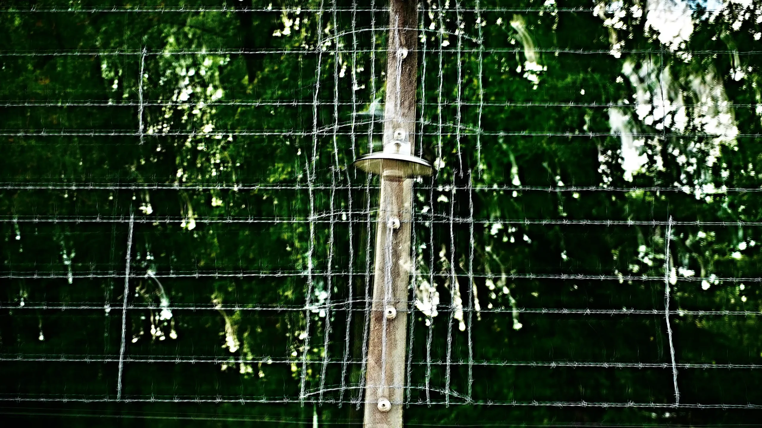 Area Composer's audiovisual artwork EMPATHY for Buchenwald