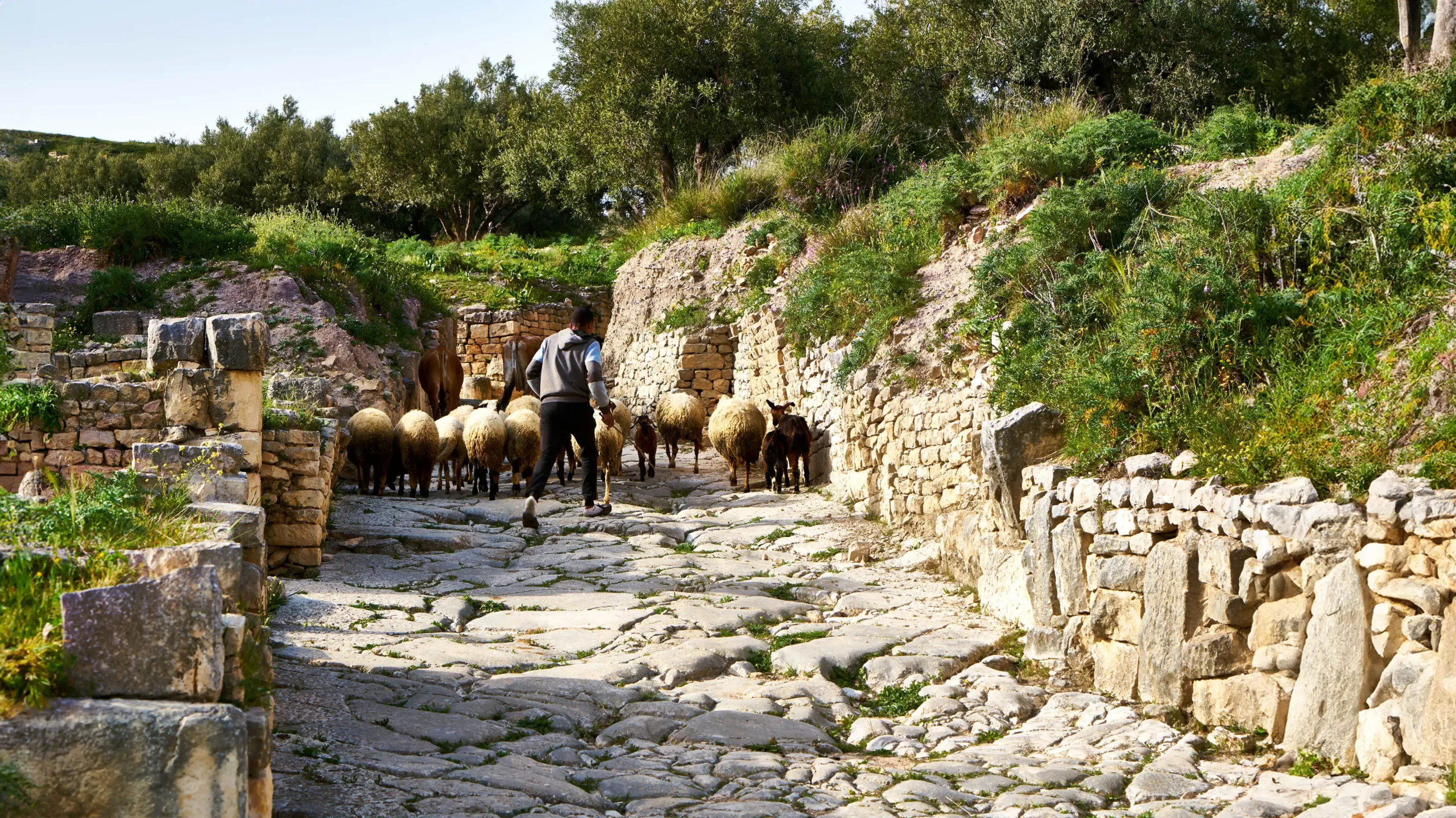 Area Composer's audiovisual artwork EMPATHY for Buchenwald