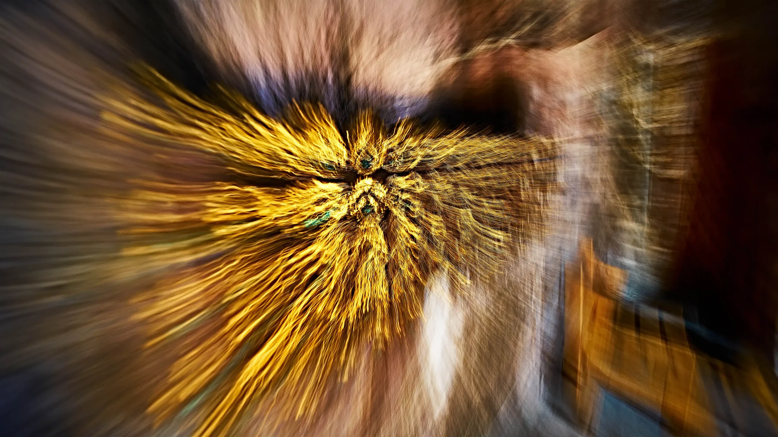 Area Composer's audiovisual artwork EMPATHY for Buchenwald